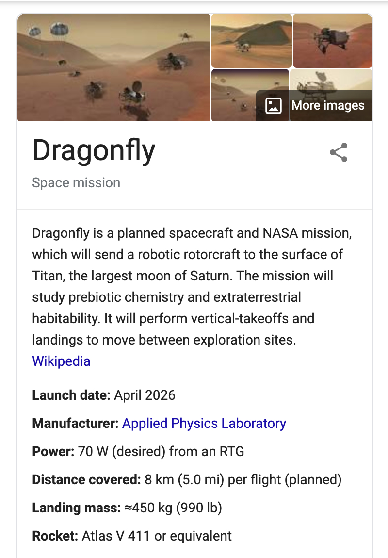 Dragonfly 1.jpg