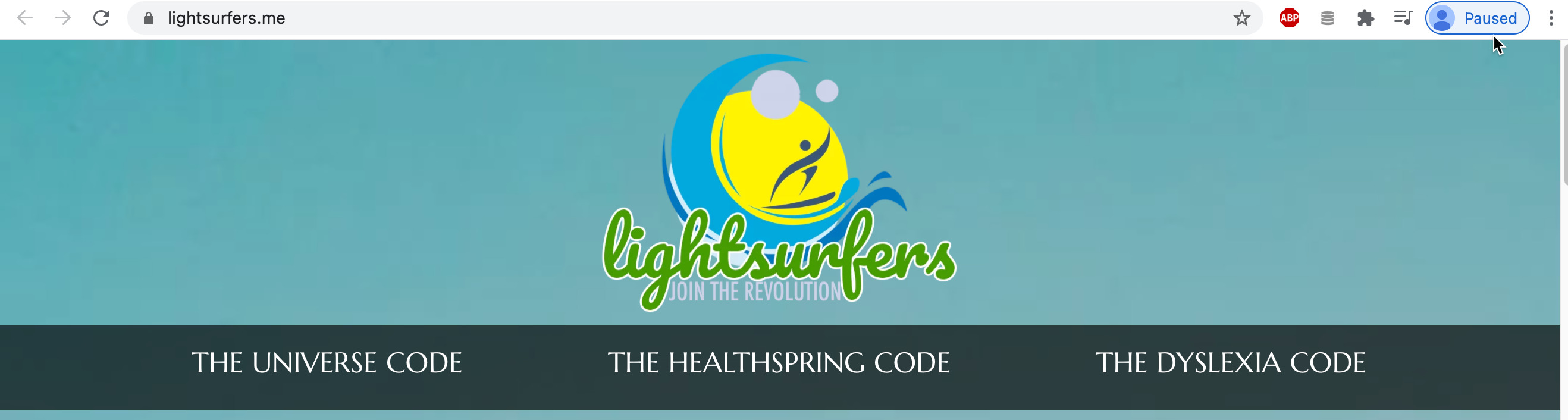 lightsurfers 1.jpg